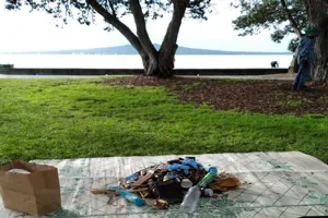 Beach Clean 2 600X338